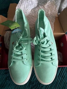 Lamo Mint Green Canvas Women's Lace-Up Sneakers